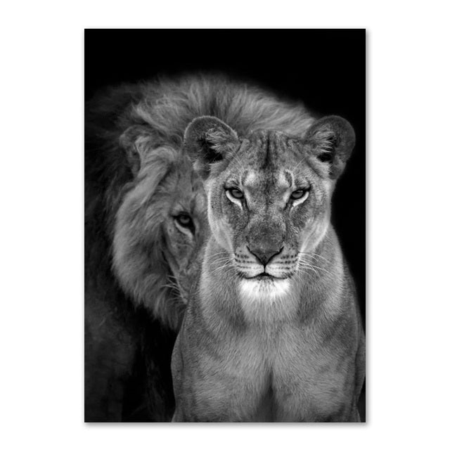 Lion Family