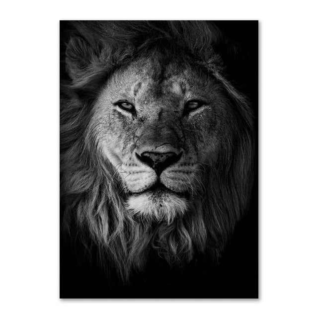 Lion Family